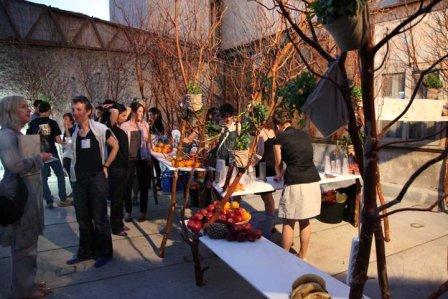 Jungle juctiion, Robert Pettena comissioned by Kunsthalle Athena